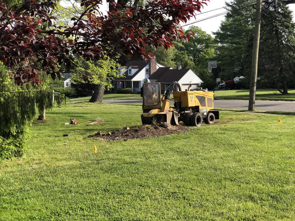 A tracked stump grinder working on a residential lawn in a reference photograph.